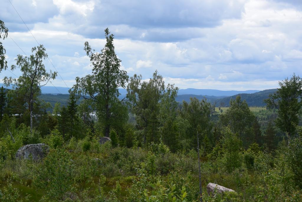 Mieps Huset Dalarna Holiday Kullen  Exterior foto